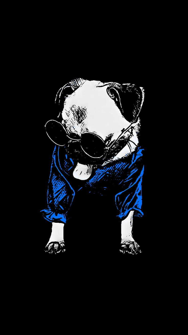 PUG BLUE, black, dog, gaby, HD mobile wallpaper