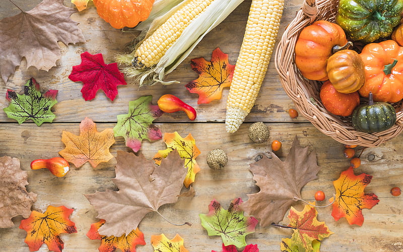Autumn Harvest, autumn, corn, harvest, squash, HD wallpaper