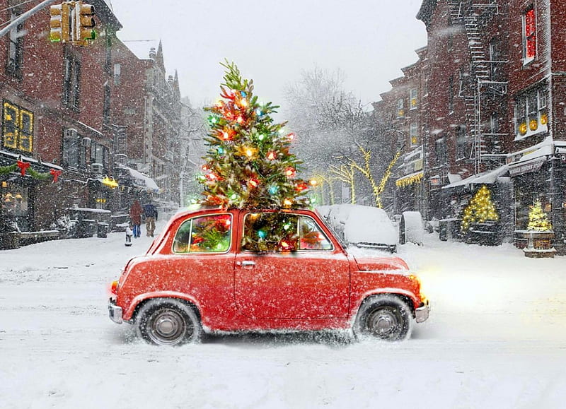 Funny Christmas car, shop, christmas, holiday, fun, lights, winter, tree, snow, snowflakes, snowfall, car, street, HD wallpaper
