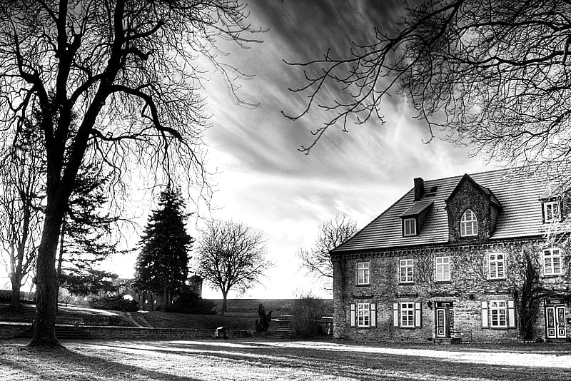 beautiful house in black and white, black and white, tree, house, sky, HD wallpaper