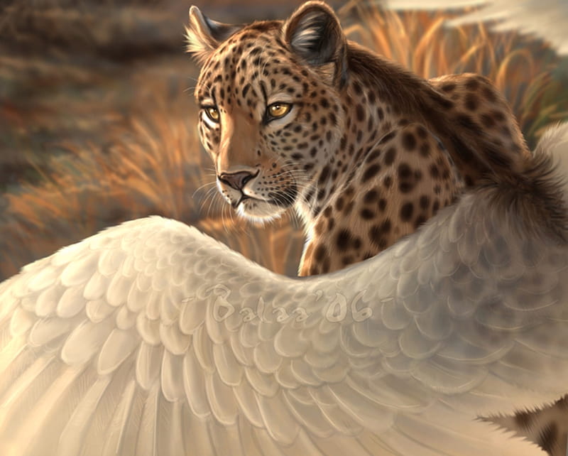 Leopard has wings too, leopard, wings, grass, bonito, proudly, cat, animal, heaven, cats, HD wallpaper