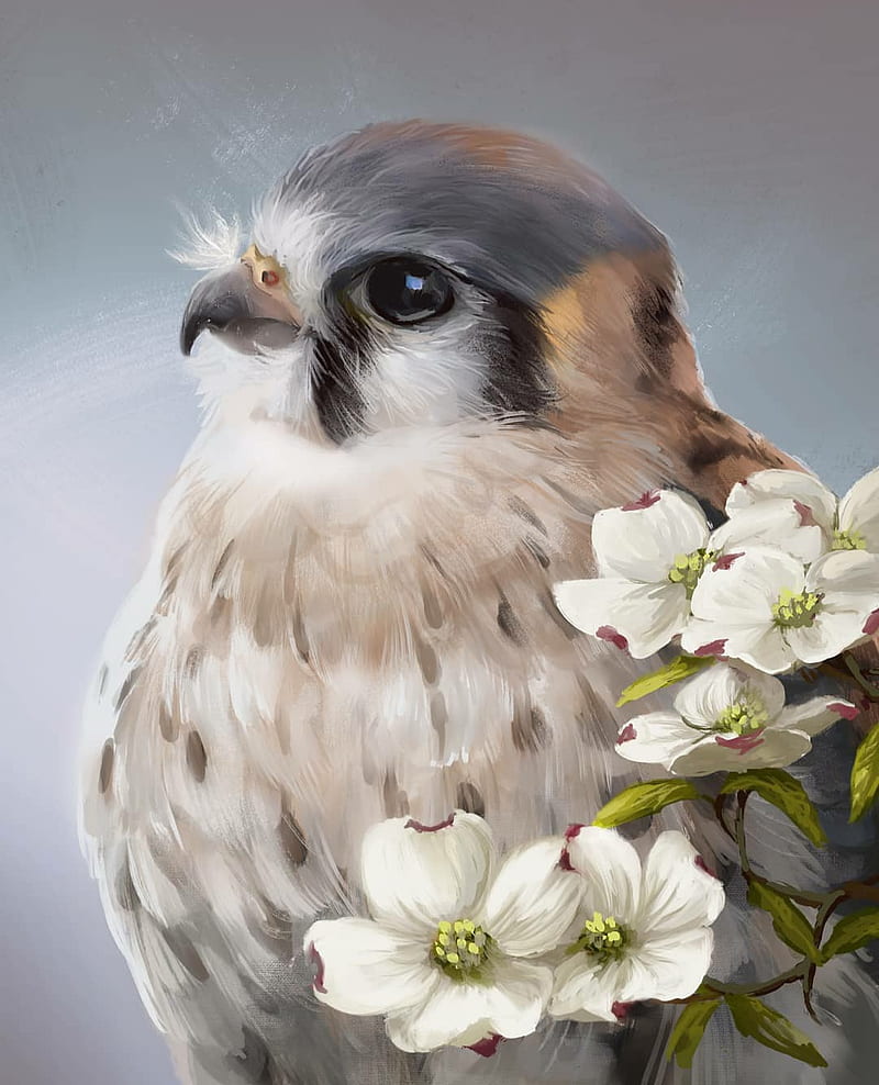 Amarican Kestrel, animal, bonito, bird, cute, earth, flowers, painting, HD phone wallpaper