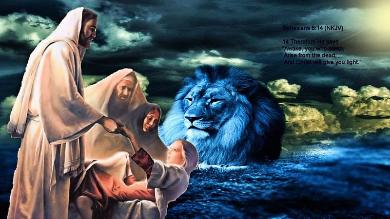 El león de la tribu de judá, nueva vida, el león de la tribu de judá,  jesús, Fondo de pantalla HD | Peakpx
