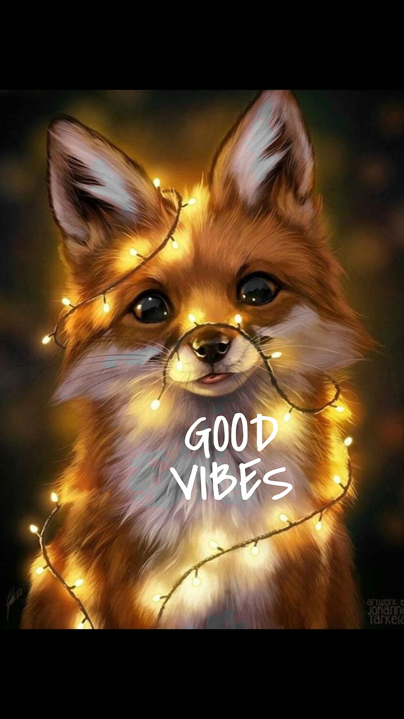 Good Vibes, Cute, Fox, HD Phone Wallpaper | Peakpx