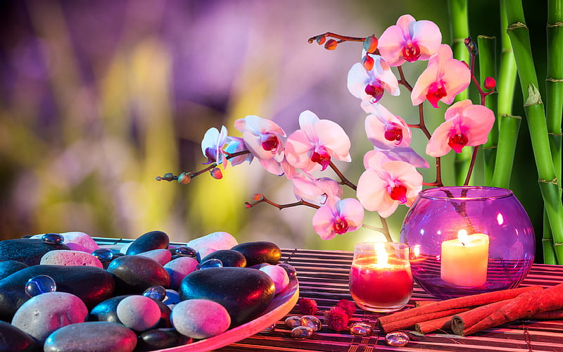 SPA, orchids, candles, bamboo, plate, stones, HD wallpaper