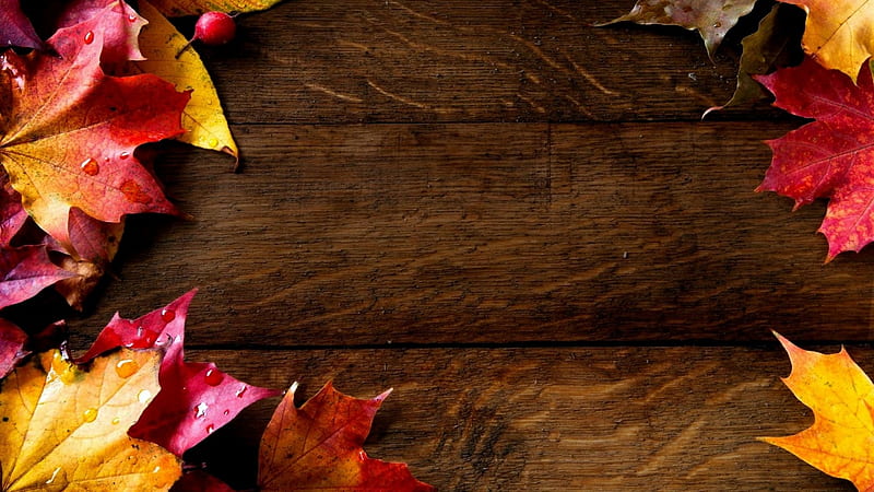 Welcome Autumn!, digital art, background, fall, autumn, leaves leaf, HD  wallpaper | Peakpx