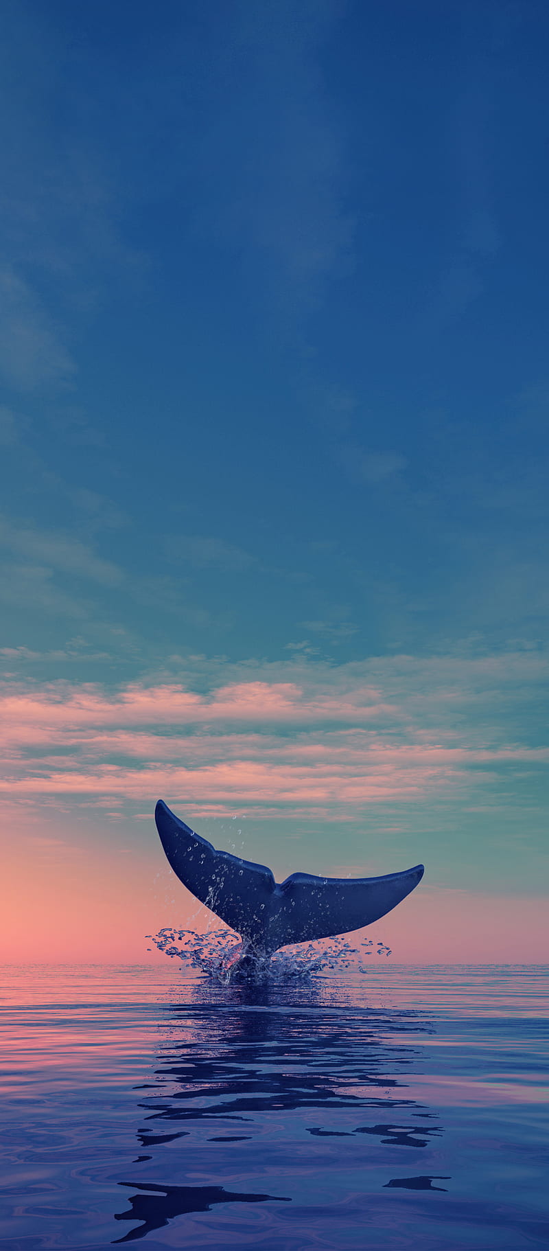 Sea, blue, nature, whale, HD phone wallpaper