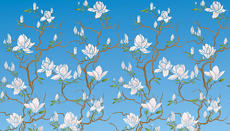 Magnolias, pattern, texture, flower, spring, paper, white, blue, HD wallpaper