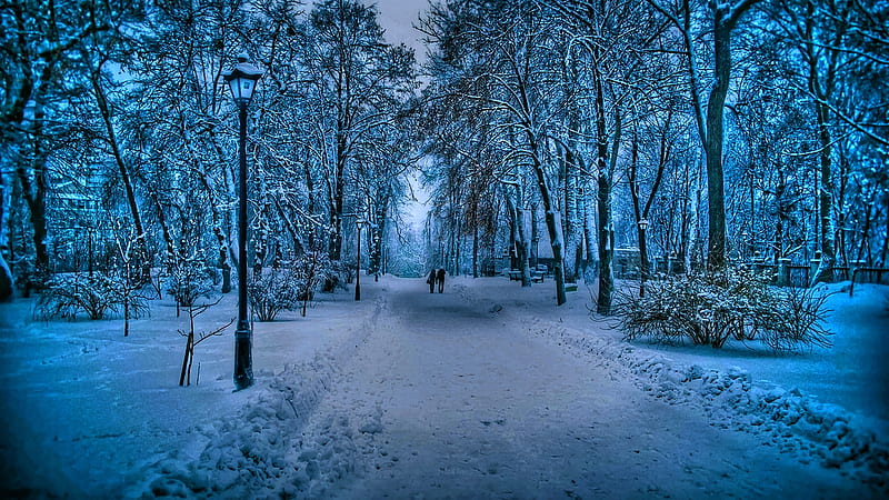 Winter Stroll, chilly, snow, path, bonito, trees, blue, cold, HD wallpaper