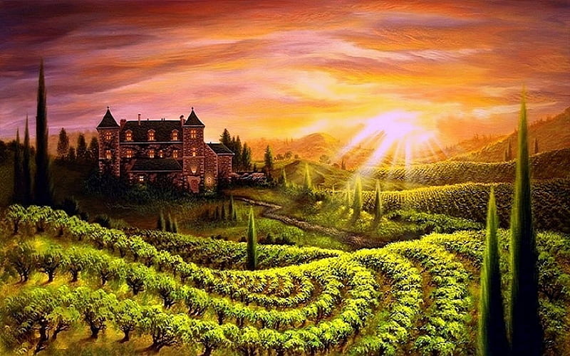 ★Green Vineyard★, architecture, stunning, panoramic view, attractions in dreams, bonito, seasons, rays light, paintings, green, landscapes, bright, fields, scenery, sunbeam, houses, colors, love four seasons, vineyard, creative pre-made, trees, summer, nature, HD wallpaper