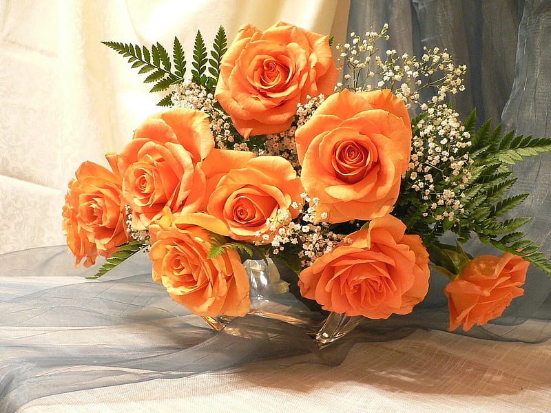 Still life, pretty, orange, rose, vase, bonito, gently, graphy, nice ...