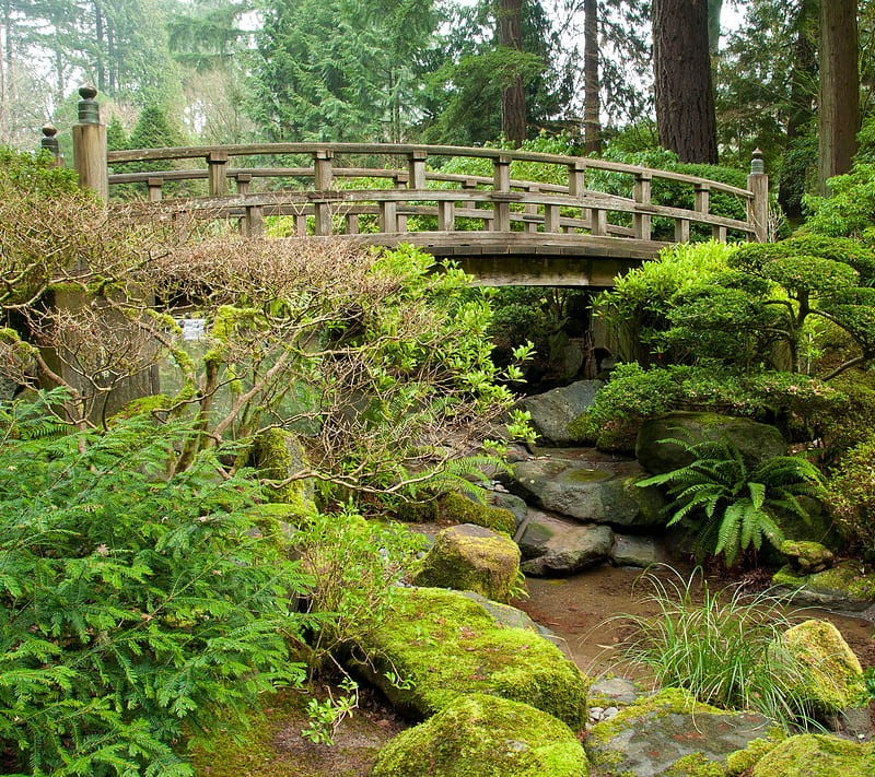 Japanese Gardens, bridge, garden, japan, rocks, shrubs, trees, HD wallpaper