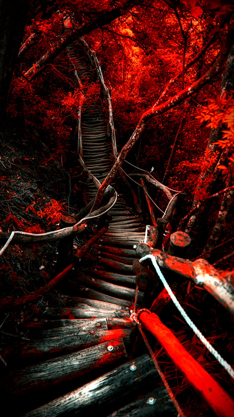 Dark Path, red, HD phone wallpaper