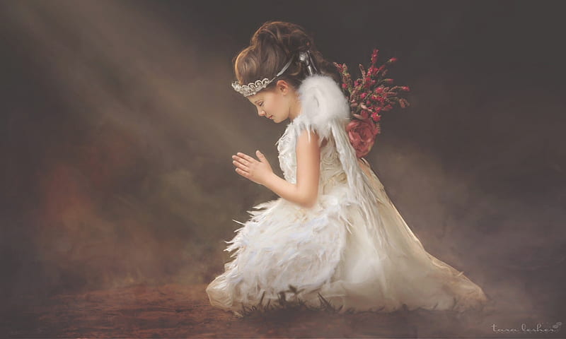 Little Angel of Peace, Angel, young, praying, wings, Softness, beauty, browns, peace, love, HD wallpaper