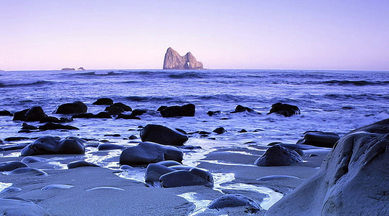 lavender beach and sea, beach, rocks, lavender, sea, HD wallpaper
