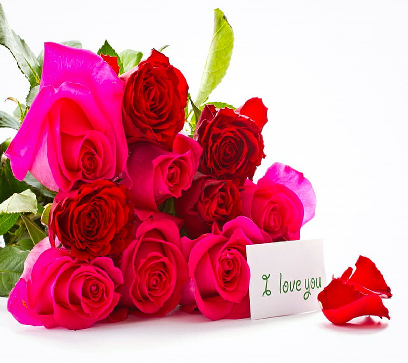 I love you, roses, HD wallpaper | Peakpx