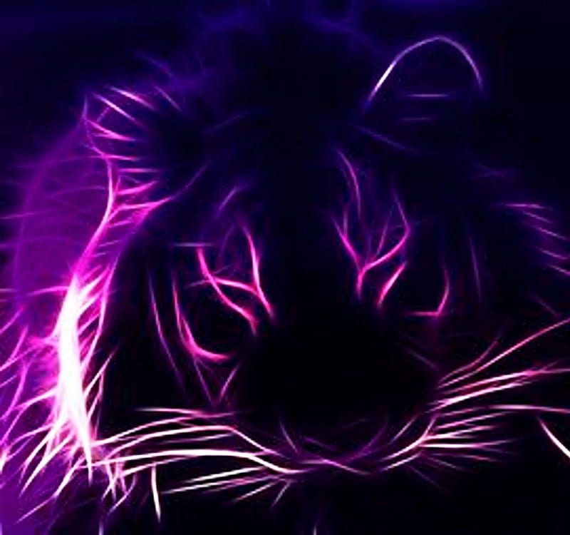 Tiger, face, purple, head, pink, HD wallpaper