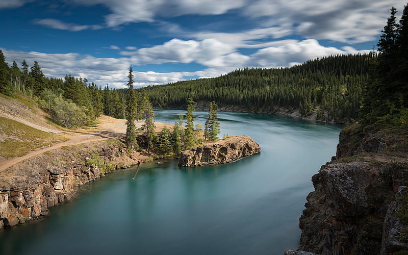 Yukon River, forest, spring, morning, beautiful river, Canada, Miles Canyon, Yukon, HD wallpaper