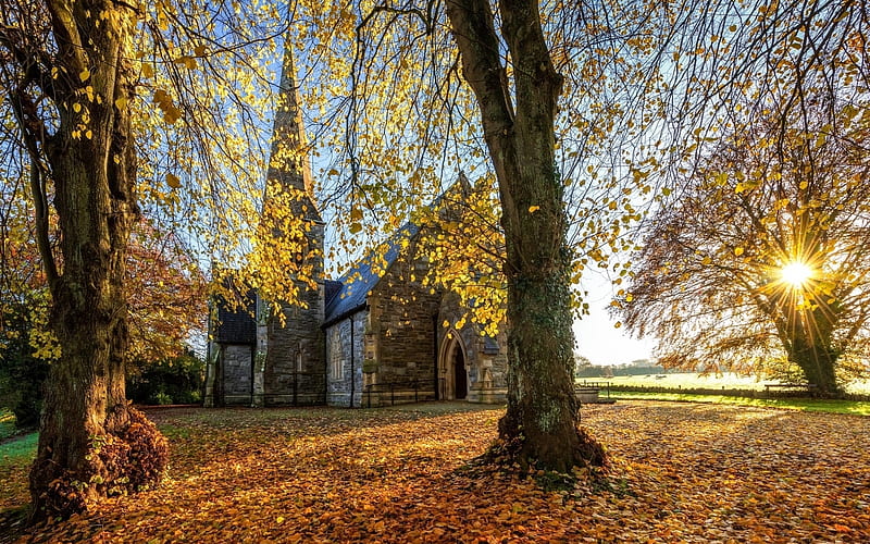 Church in North Ireland, Ireland, autumn, trees, church, sunbeams, HD wallpaper