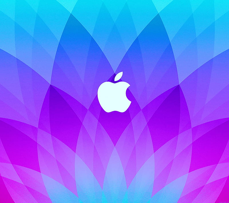 Lotus apple Purple, abstract, HD wallpaper