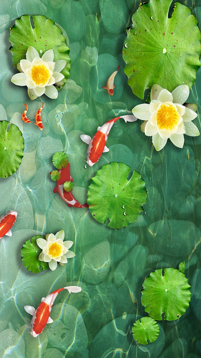 Koi pond, fall, fish, flowers, koi, leaves, lotus, pond, water, HD phone  wallpaper | Peakpx