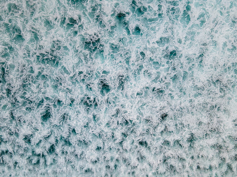Blue and White Fur Textile, HD wallpaper