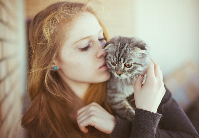 You are so sweet..., cat, kitten, woman, kiss, sweet, HD wallpaper