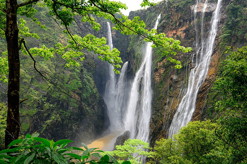 Jog Falls, Karnataka State, India, forest, waterfall, india, nature, HD wallpaper