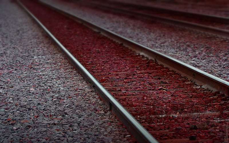 tracks, railroad, fall, autumn, leaves, graphy, train, nature, HD wallpaper