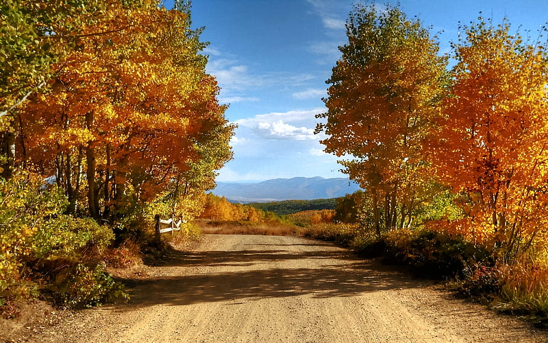 Guardsman Pass, red, utah, dirt road, colorful, autumn, lovely, bonito, trees, HD wallpaper