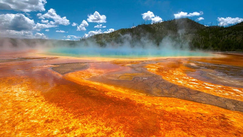 colorful geyser in yellowstone park, minerals, hot springs, colors, steam, geyser, HD wallpaper
