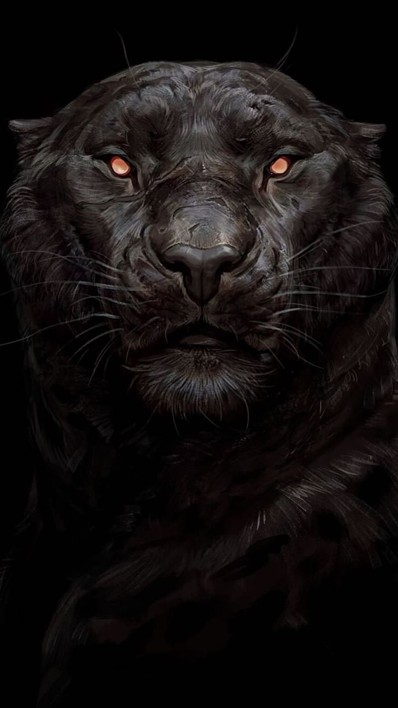 Dark Black Tiger, dark black, animal, tiger, wild, HD phone wallpaper