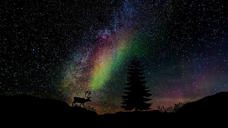 stars, aurora, black, creative, silhouette, deer, anja osenberg, fantasy, tree, fir, HD wallpaper