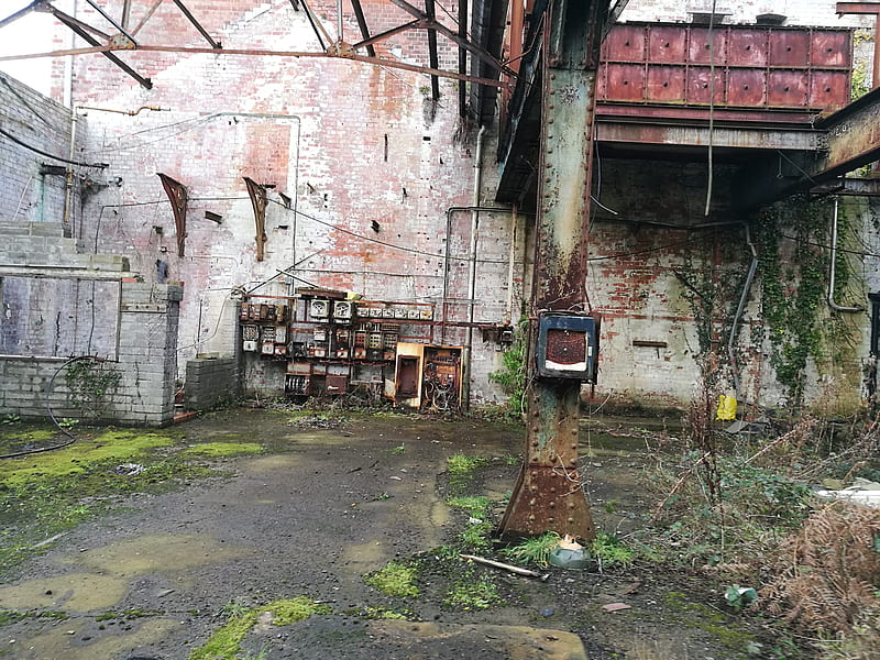 Abandoned building, decay, electric, green, moss, rust, wet, HD wallpaper