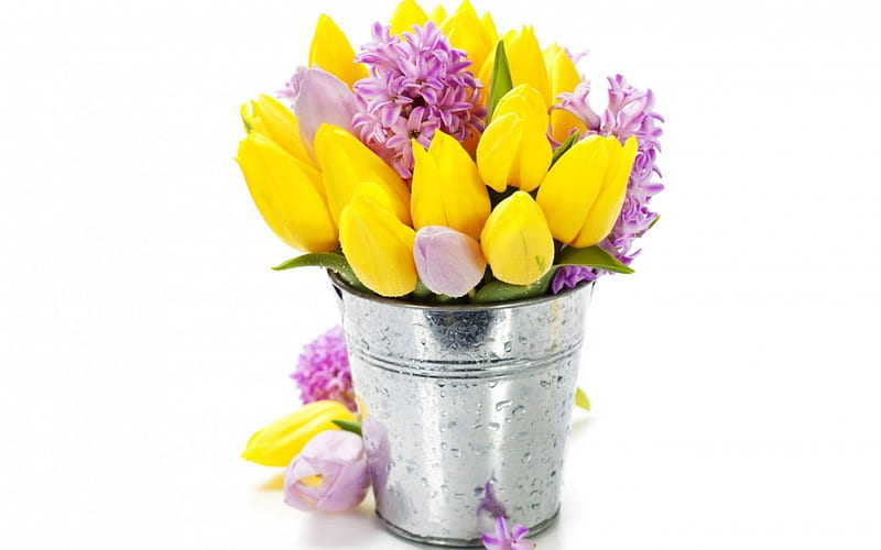 Happy spring!, hyacinth, flower, yellow, spring, white, pink, tulip, card, HD wallpaper