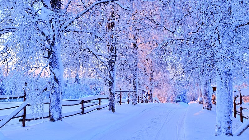 Wonderful winter landscape, ut, tel, kerites, fak, havas, ho, HD wallpaper