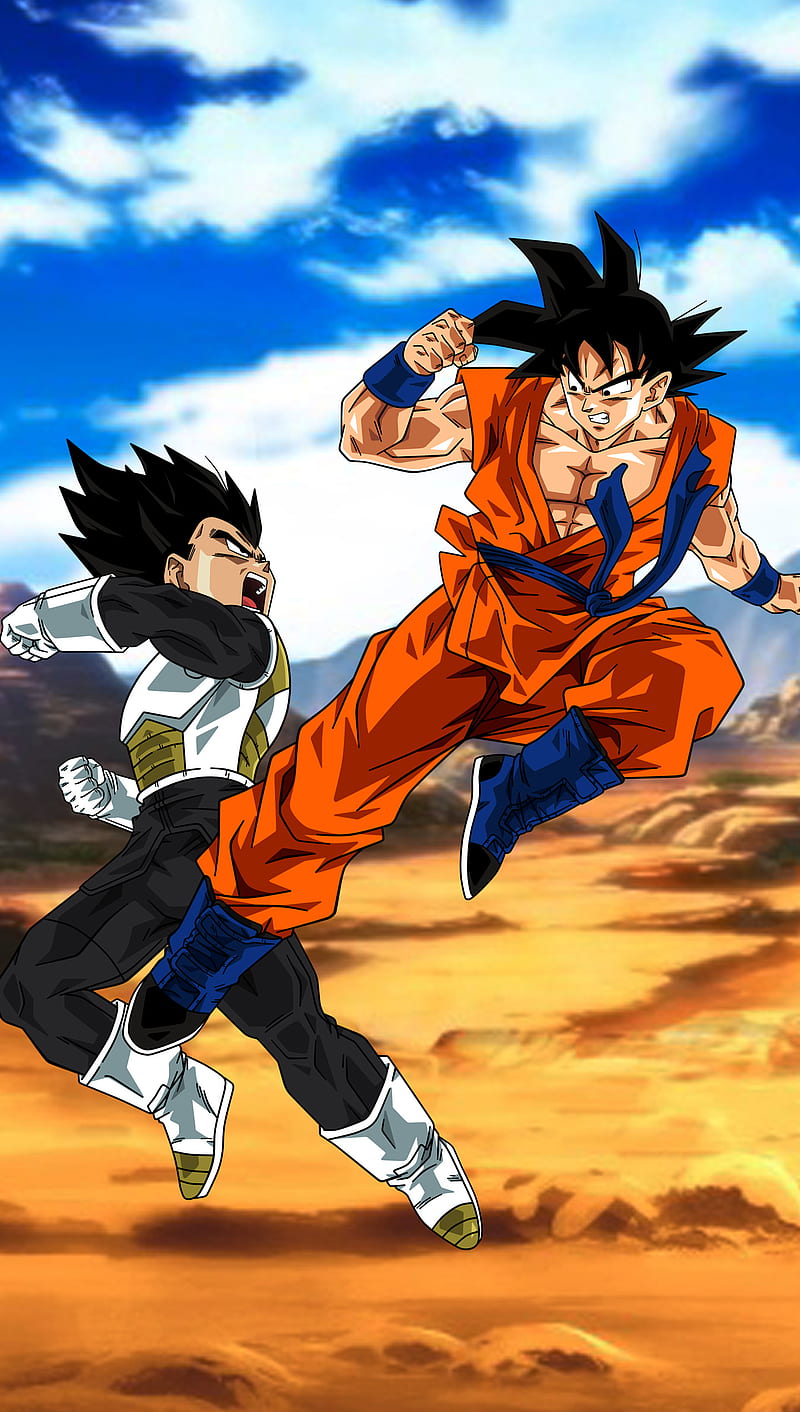 Dragon Ball z, dragon ball, dragonball, songoku, ssj, vegeta, HD phone wallpaper