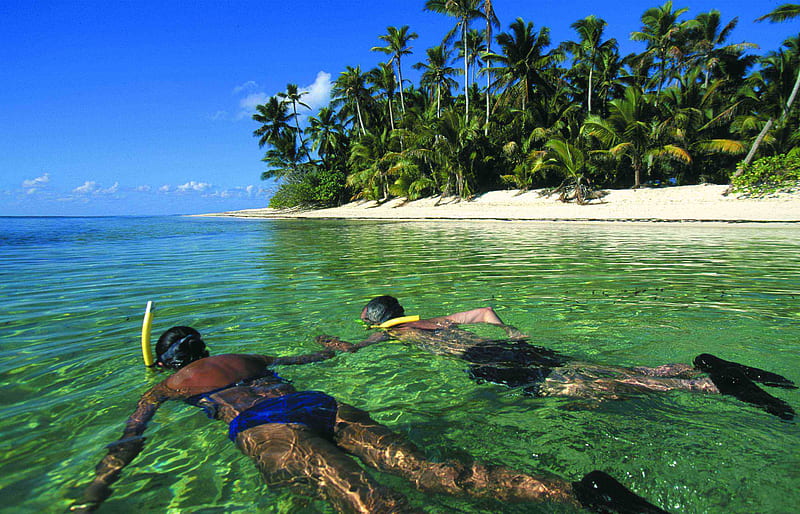Snorkeling friends, ocean, snorkel, trees, sky, palms, sea, sand, water, people, blue, HD wallpaper