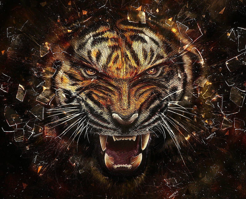 tiger, cool, maracuyeah, pantalla, tiger, yeah, HD wallpaper