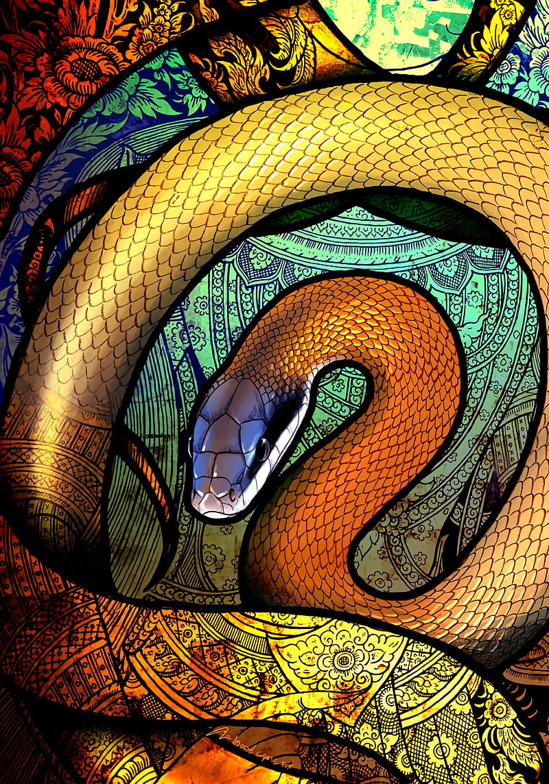 Snake, patterns, colorful, art, HD phone wallpaper | Peakpx