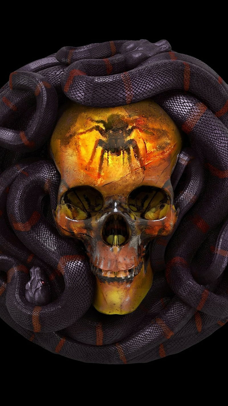 Snake And Skull, animals, horror, imaging, spider, HD phone wallpaper