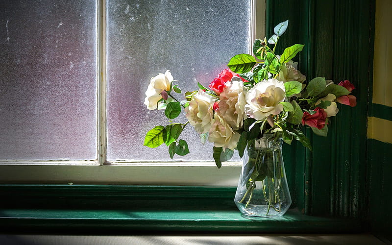roses, sill, bouquet, sunlight, vase, HD wallpaper