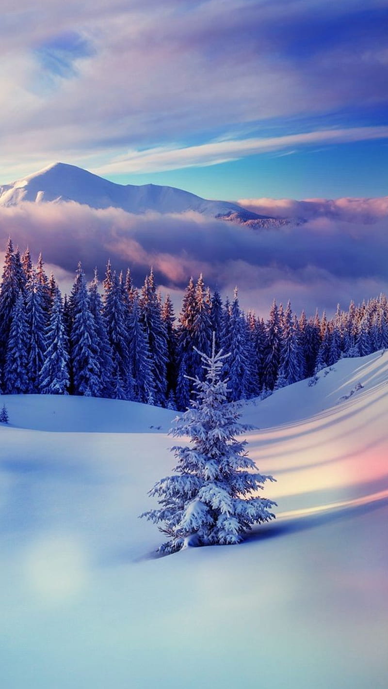 hd wallpapers nature winter