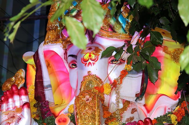Ganesha, ganpati bappa morya, HD wallpaper