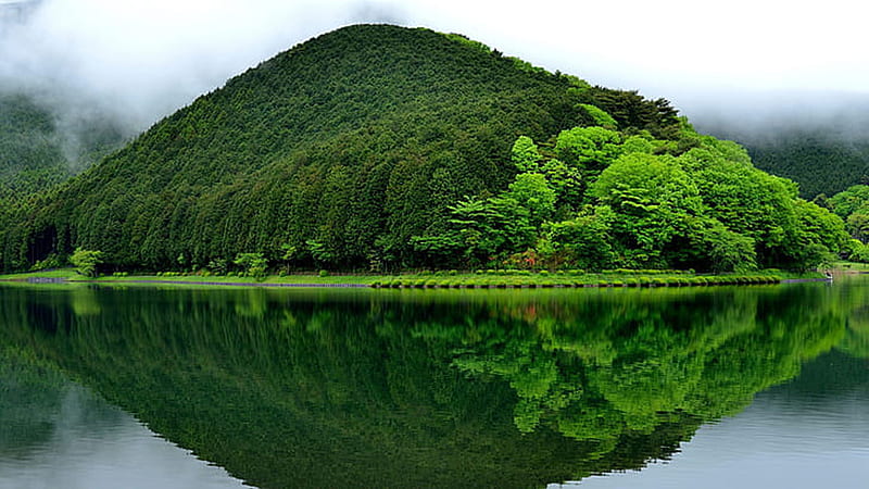 Beautiful Landscape View Of Green Trees Mountains Reflection On Water 