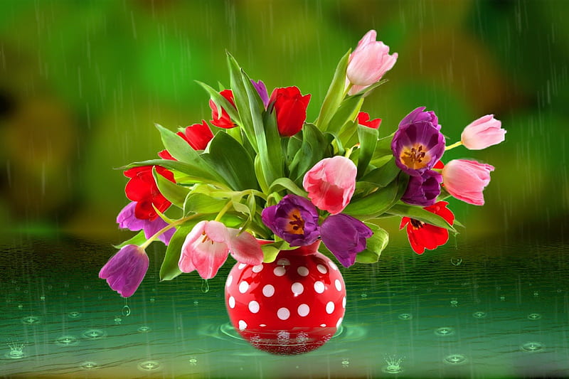 Beautiful flowers in vase, pretty, colorful, wet, vase, bonito, drops, still life, nice, green, flowers, tulips, tender, lovely, colors, delight, delicate, water, droplets, rain, HD wallpaper