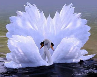 Download Wallpaper Animals, Two Swans wallpaper, swan, swans, birds -  1600x1115 | Животные, Утки, Лебедь