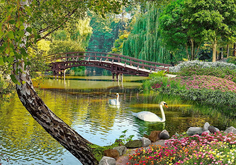 Swan kingdom, bonito, spring, park, swan, lake, pond, willow, serenity, bridge, reflection, kingdom, tranquility, HD wallpaper