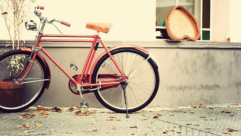 Bicycle , graphy, bicycle, bike, street, vintage, HD wallpaper