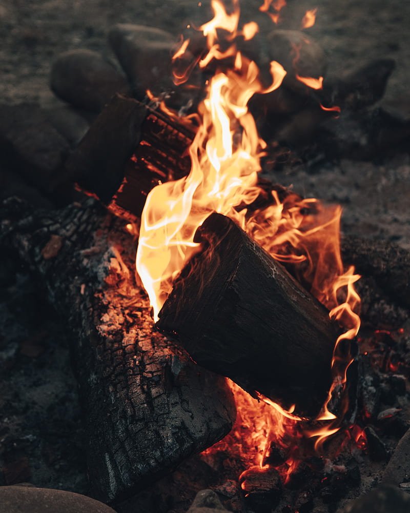 bonfire, fire, flame, wood, coals, heat, HD phone wallpaper
